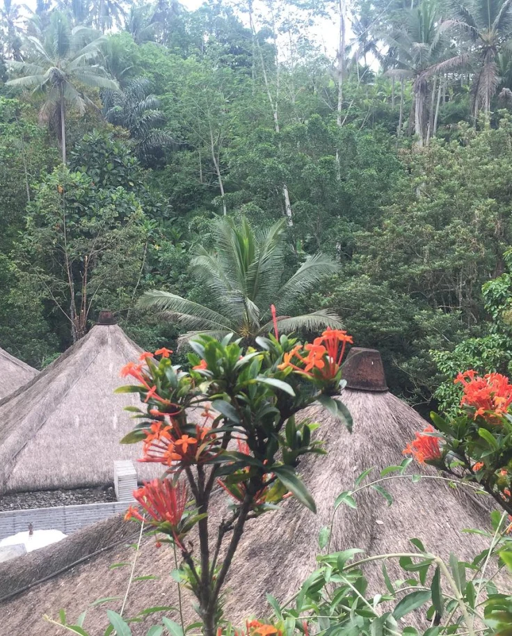 tropical heaven