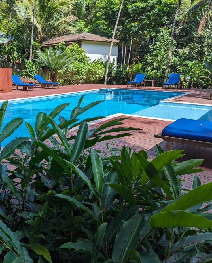View of pool