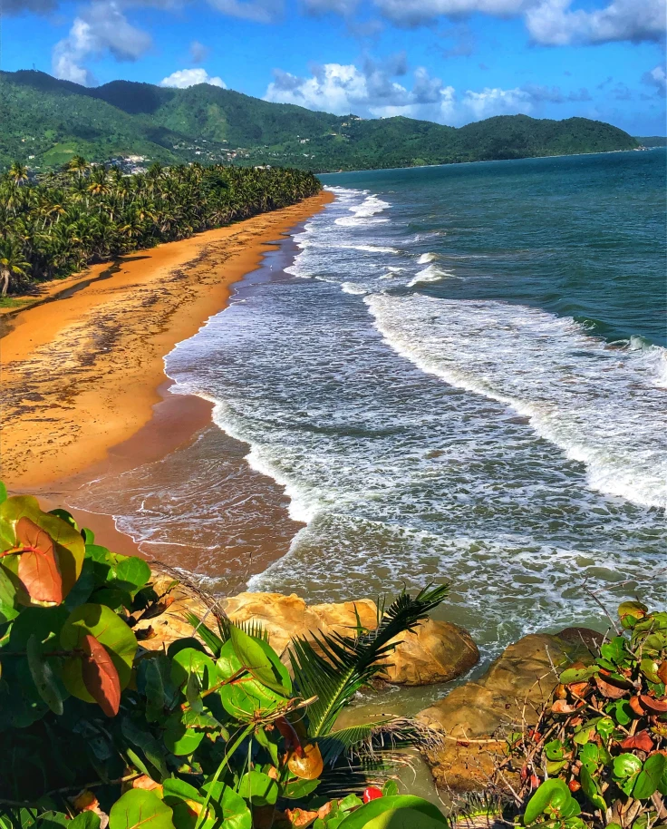 View of the sand meeting the ocean with blue skies in Puerto Rico