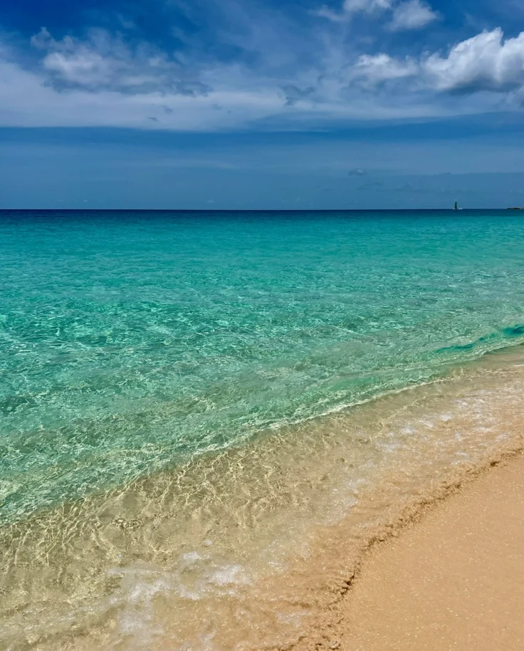 The shore of a beach during daytime