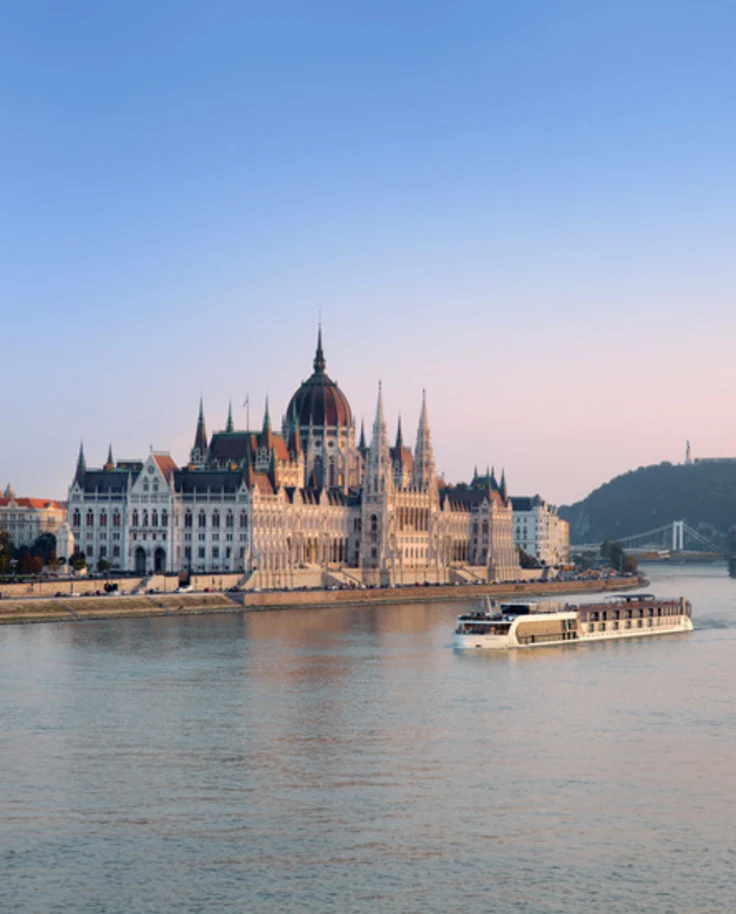 The image captures a cruise ship gracefully gliding through serene waters, with a majestic palace as a backdrop.