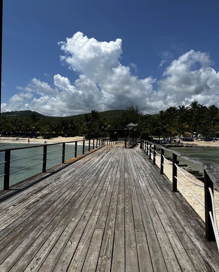 A picture of a boardwalk on water in Jamaica.