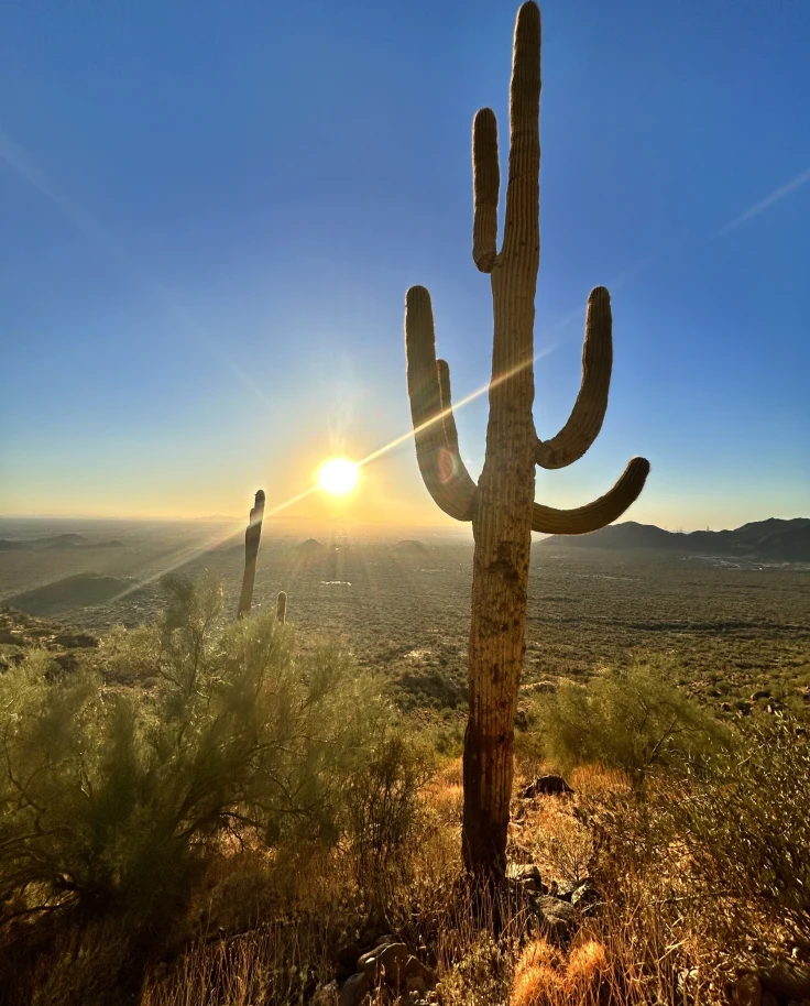 field-arizona-travel-guide
