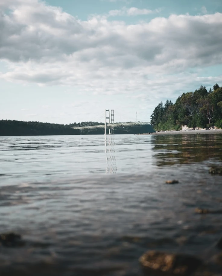 a photo of a white bridge built over a lake with pine trees surrounding it's shores.
