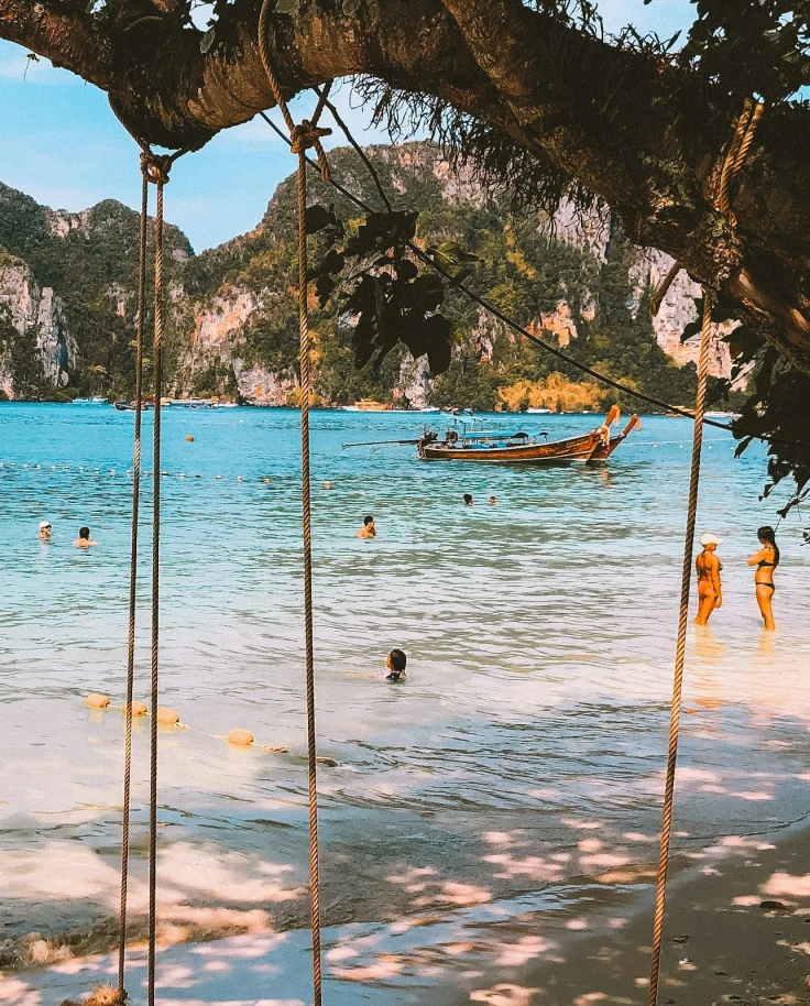 A view of rope swings tied to a tree in front of the beach shore, turquoise blue water, boats and rocky green cliffs in the distance.