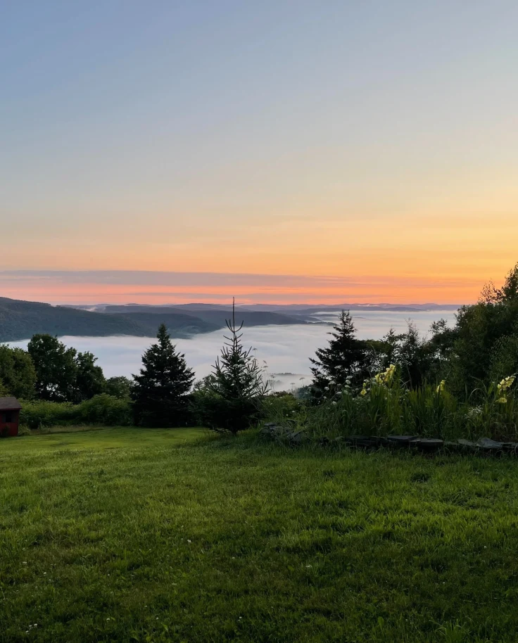 Green grass field near body of water during sun set.