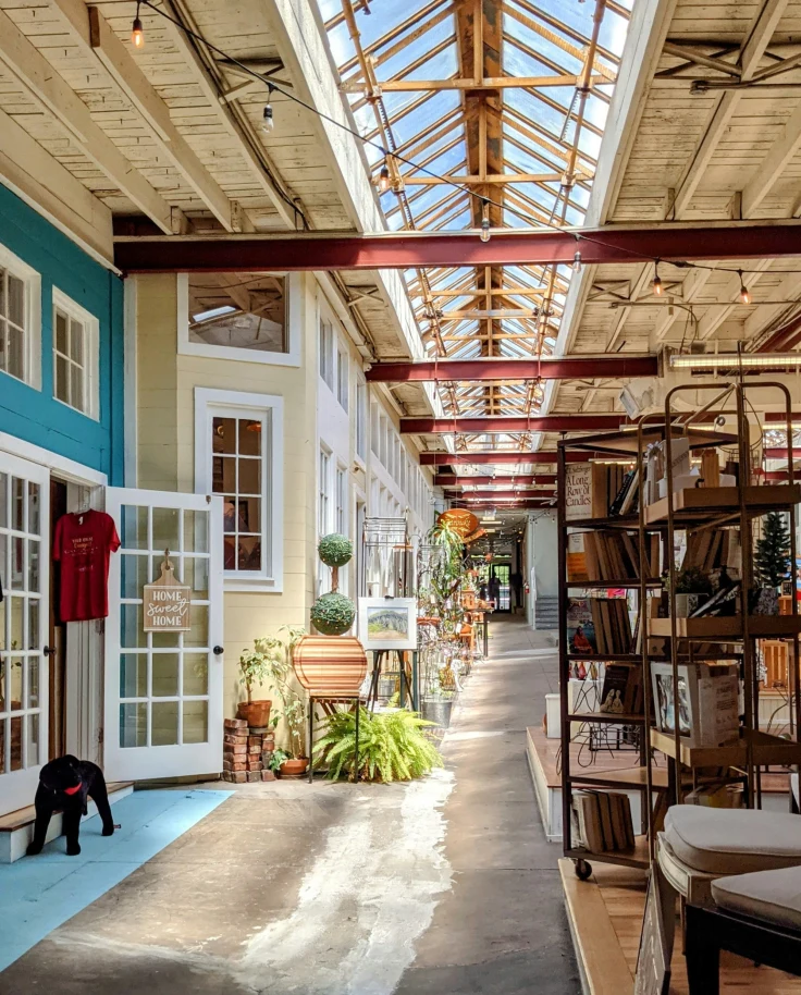 A photo of a hallway with a skylight, wooden panels, a white door with blue trim, wooden shelving and potted plants.