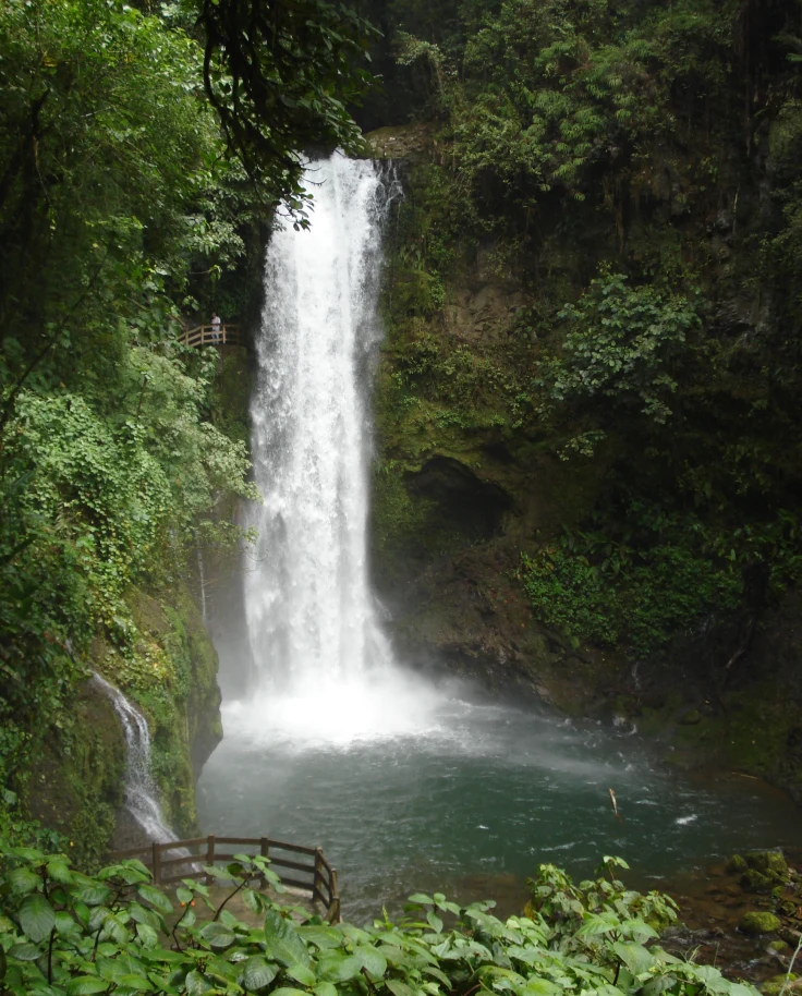 A picture of a beautiful waterfall surrounded by lush green forest.