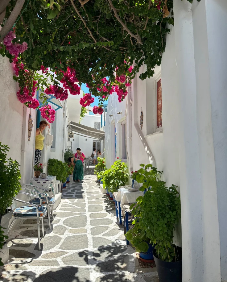 A narrow street with white buildings and hanging bougainvilleas.