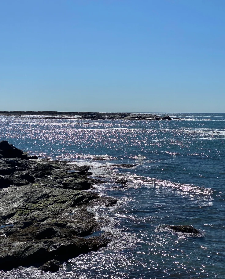 A body of water near a rocky shore