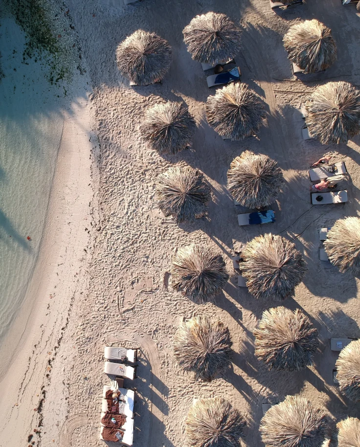 Aerial view of beach with palm trees during daytime