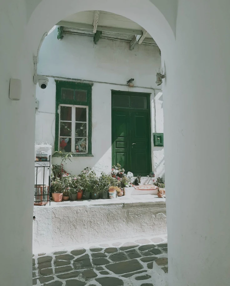 A picture taken from a window of a white colored house with green door and window pane.