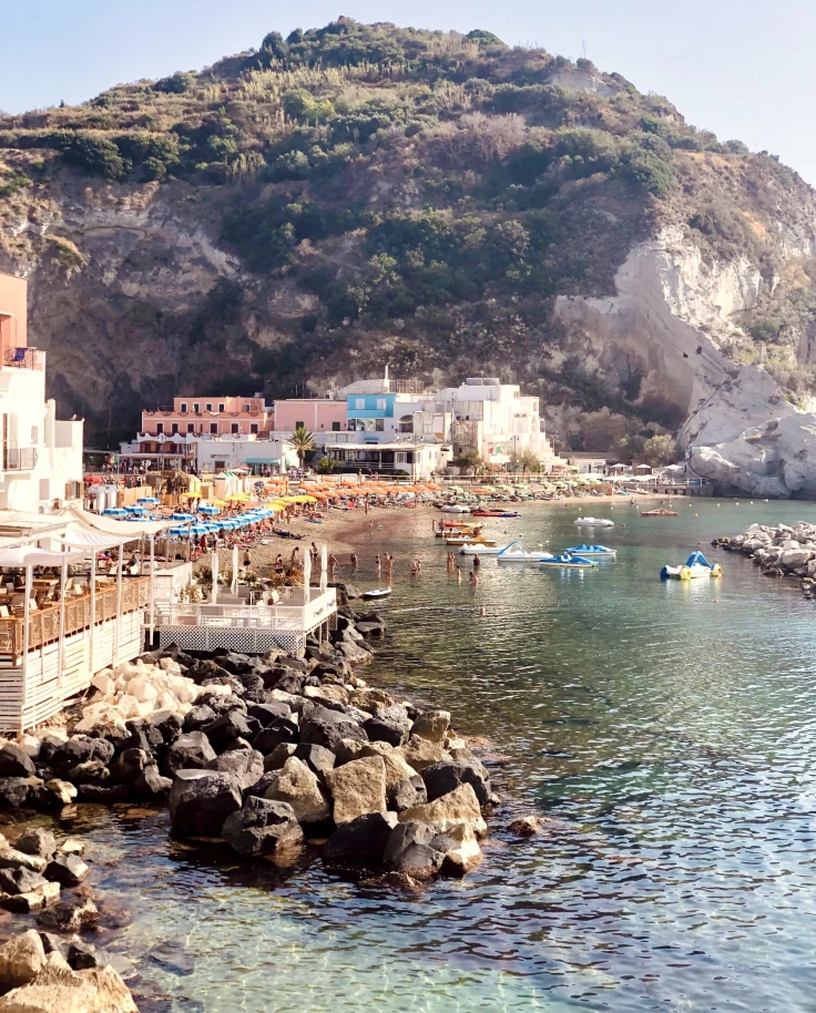coastal town with colorful buildings and rocky shore