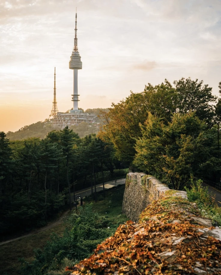 A tall tower rises above a forested area with an old stone wall in the foreground during sunset.
