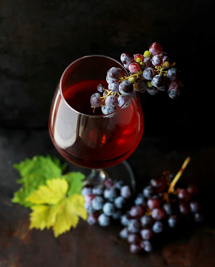 A picture of a wine glass with black grapes.