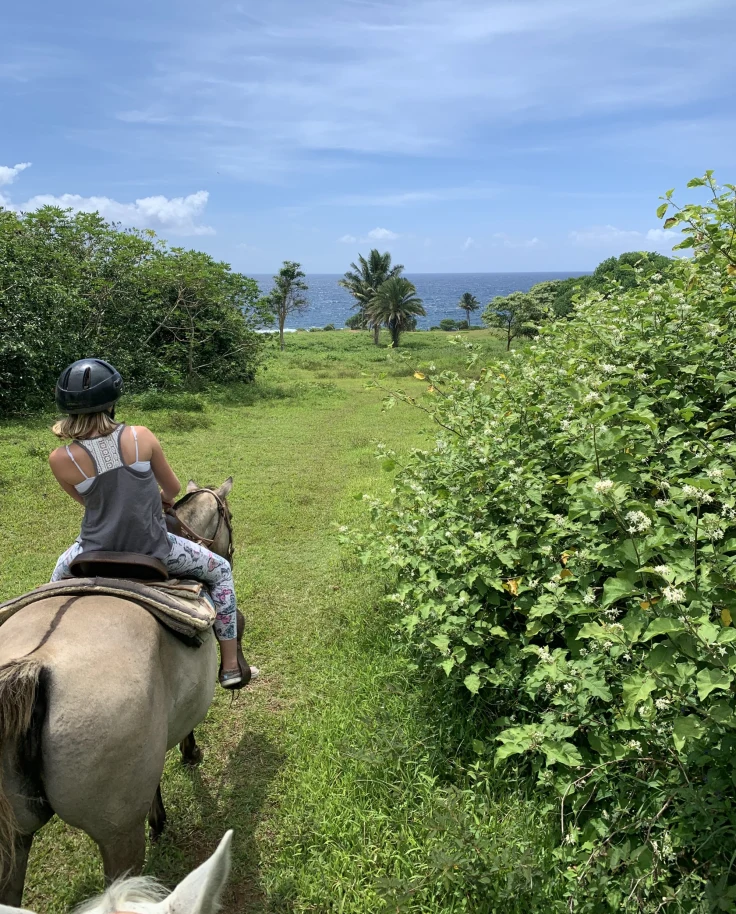 A woman riding horse in green field towards the ocean.