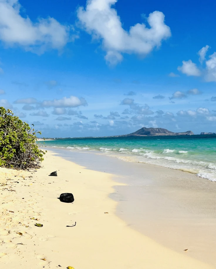 Beach on a sunny day.