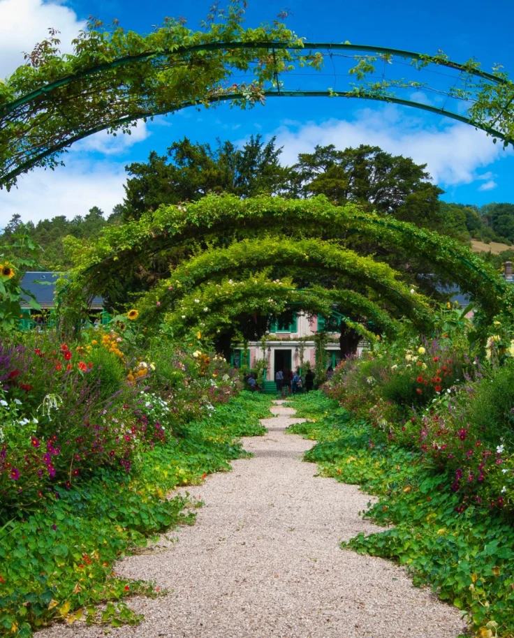 flower arch in a botanical garden