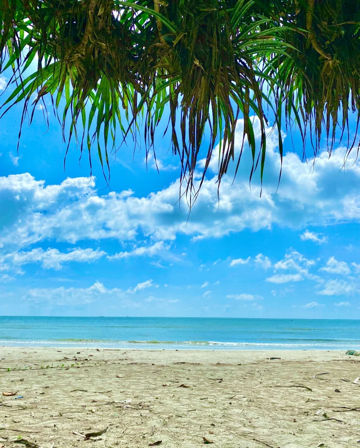 A white sand beach under a blue sky and palm fronds.