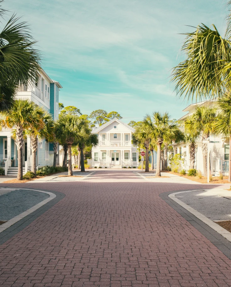 large white houses next to palm trees during daytime