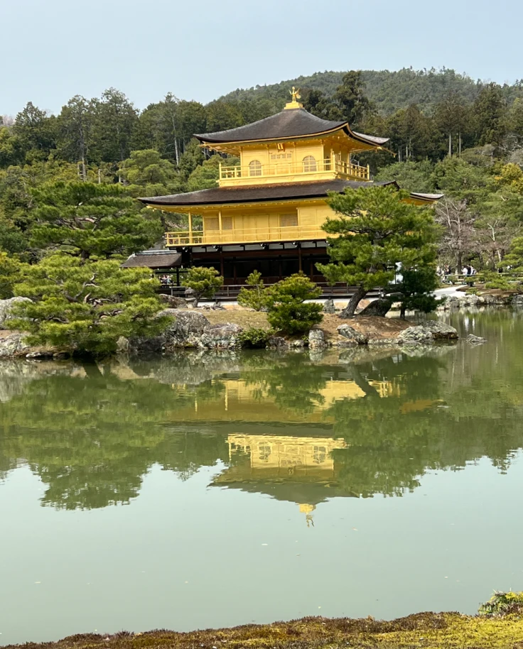 An image of a gorgeous yellow temple nestled into an assortment of trees against a reflective body of water.