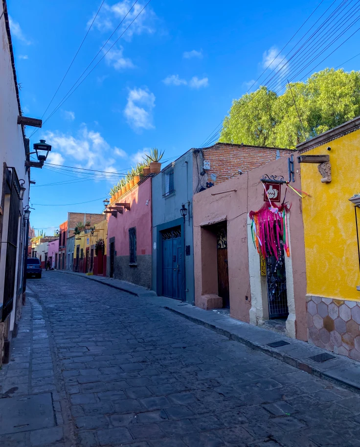A street aligned with colorful blue, yellow and pink buildings surrounded by green trees and a hanging pot of pink flowers.
