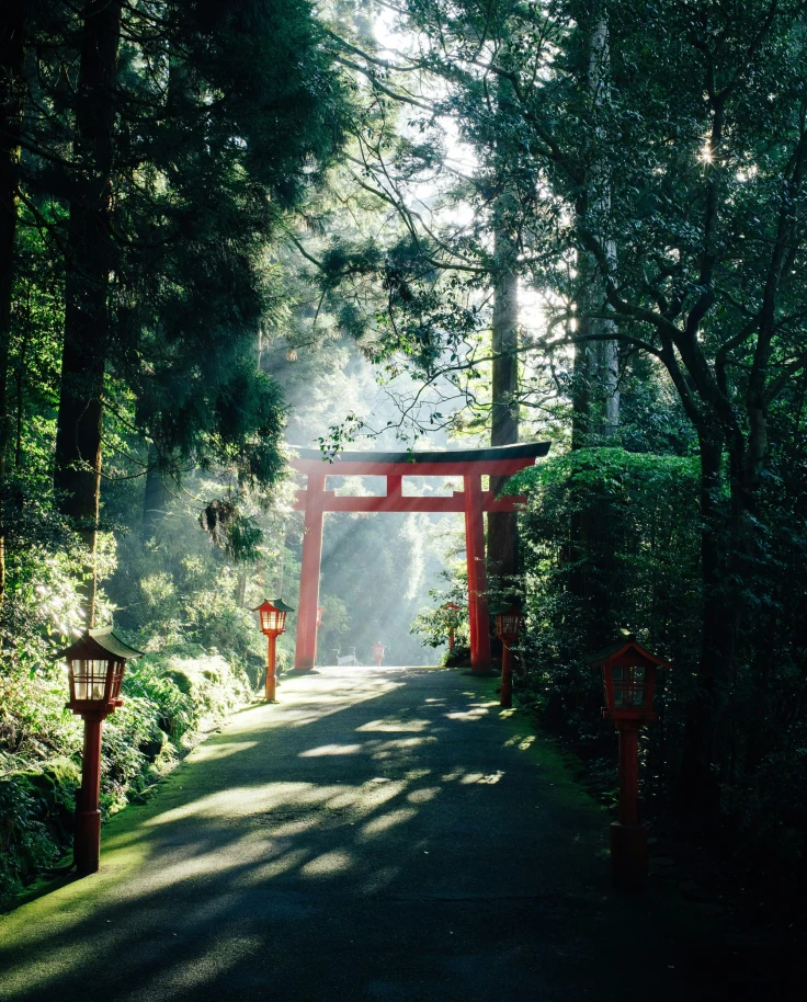 Red structure with a pathway among green trees.