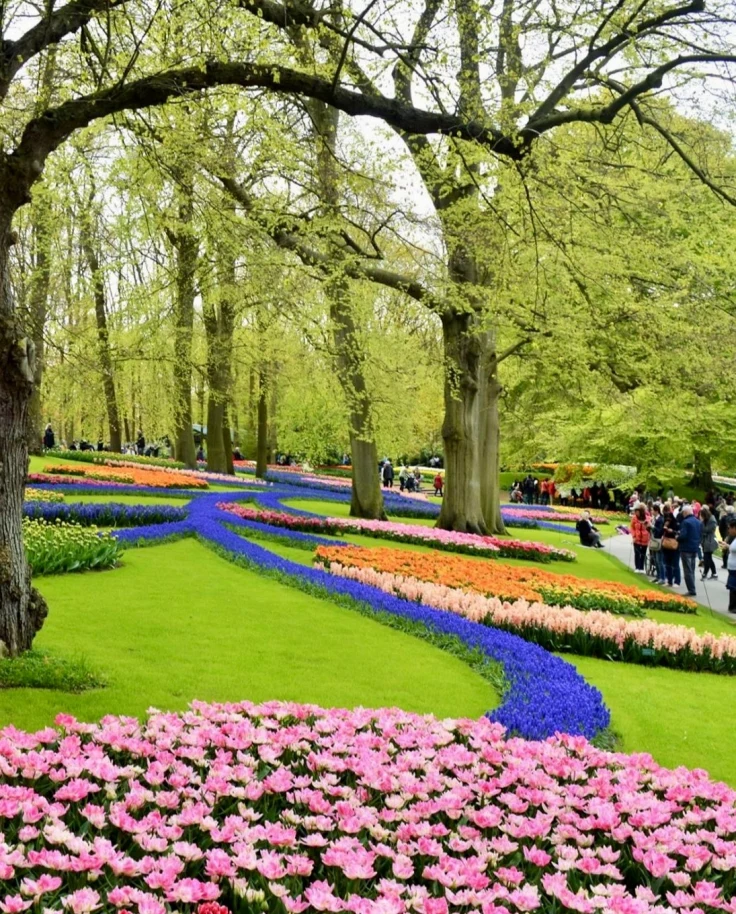 A far view of the botanical garden during the daytime.