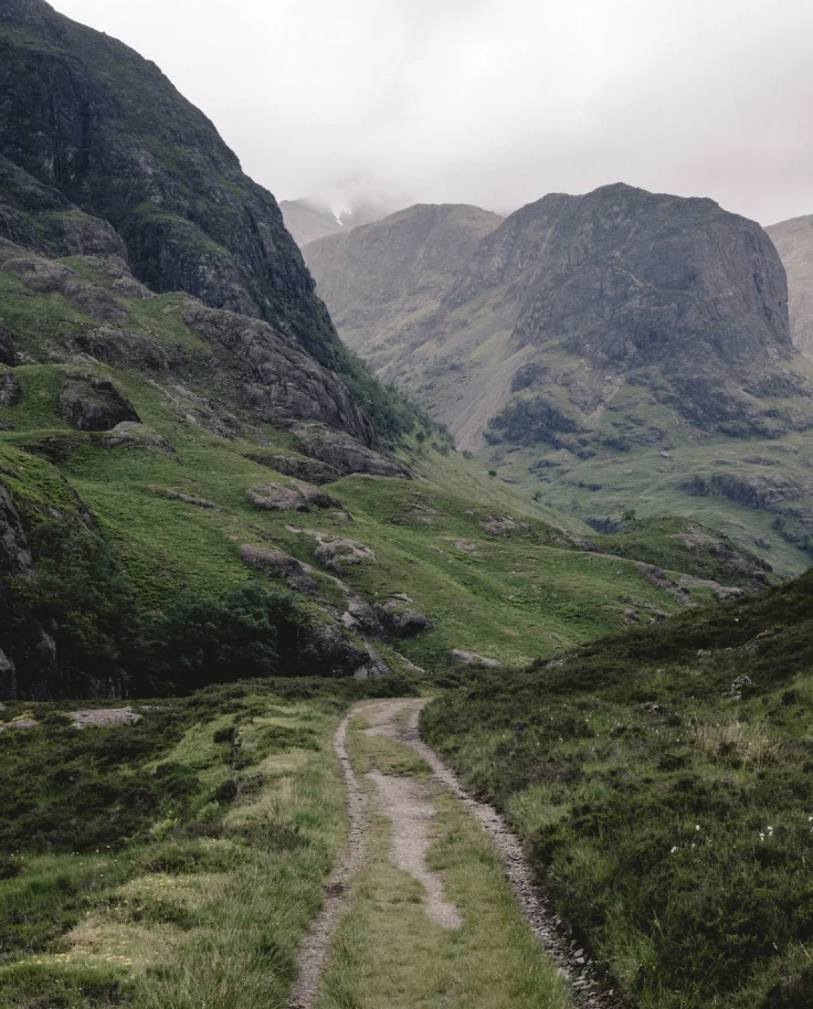 grassy road in the mountains