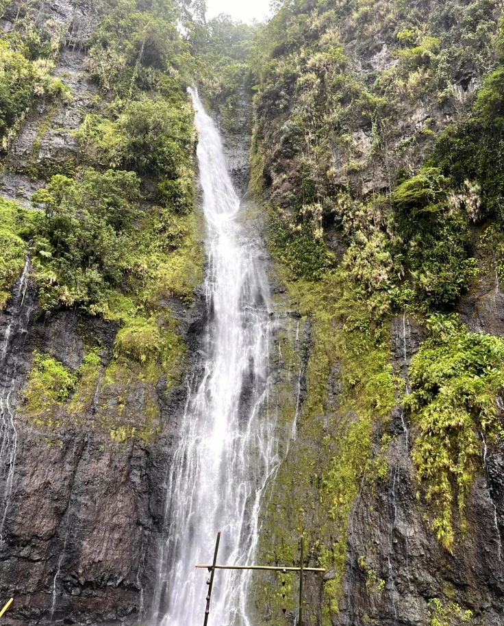The focal point of the image is a waterfall, cascading from an opening in the rocky cliff.