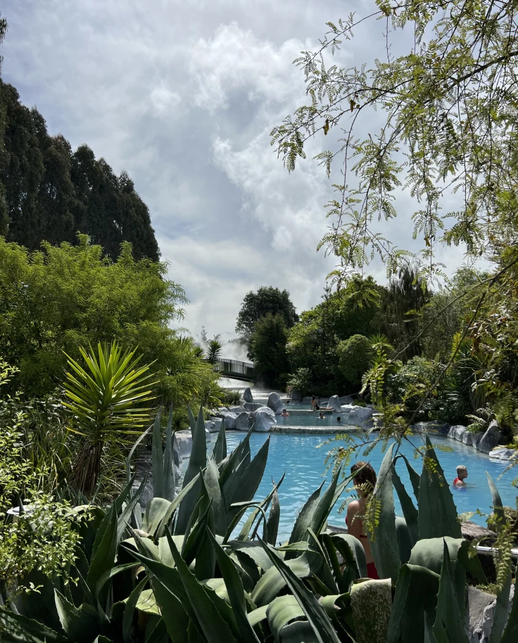 Thermal spa at Wairakei Terraces, with a pool behind cacti and trees in the foreground.
