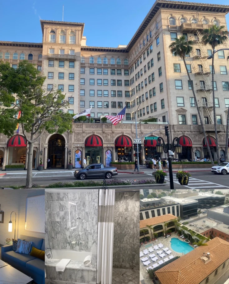 Street view of hotel adorned with classic details and palm trees on a clear day.