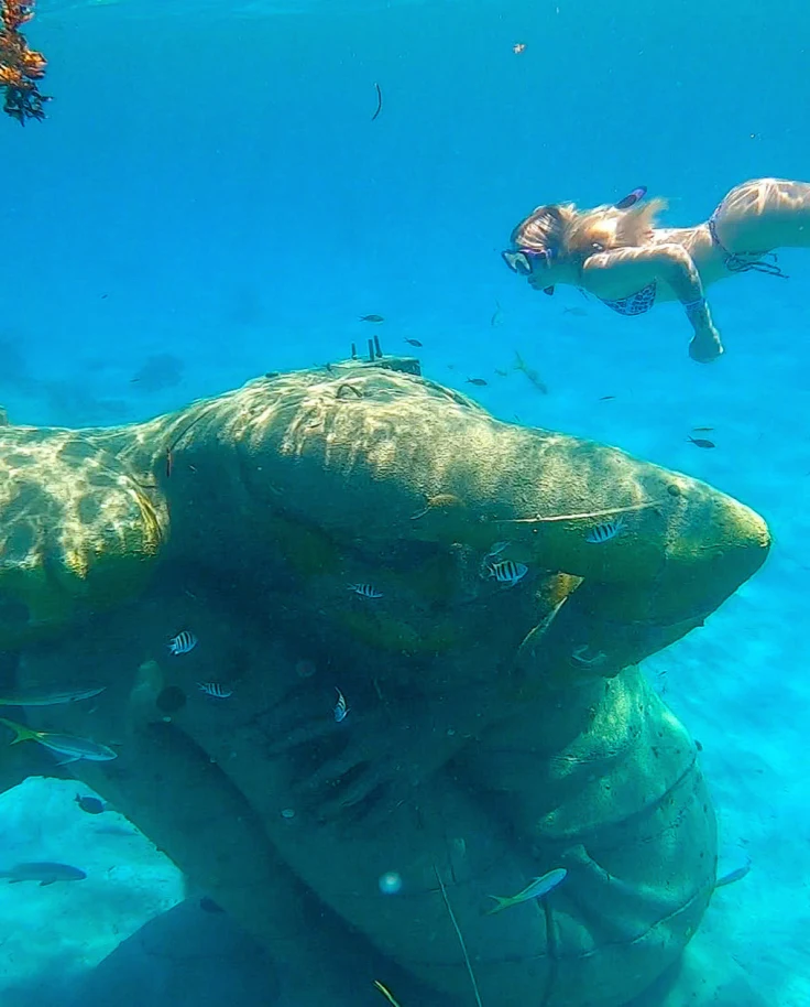 A picture of a statue under the water