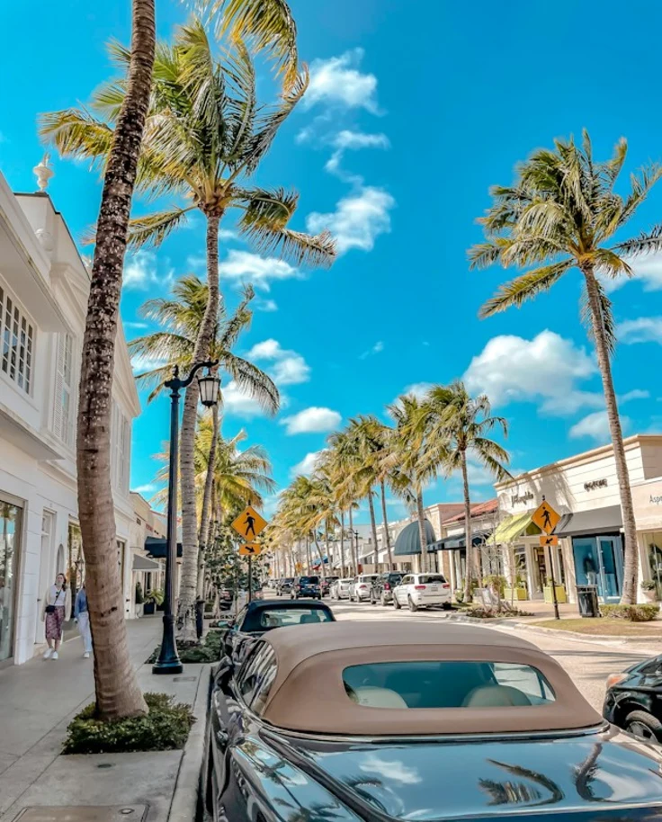 a-street-lined-with-palm-trees-and-parked-cars
