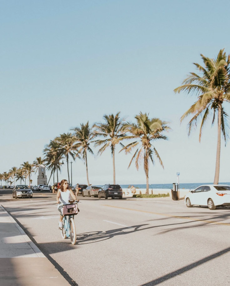 street along the ocean with palm trees