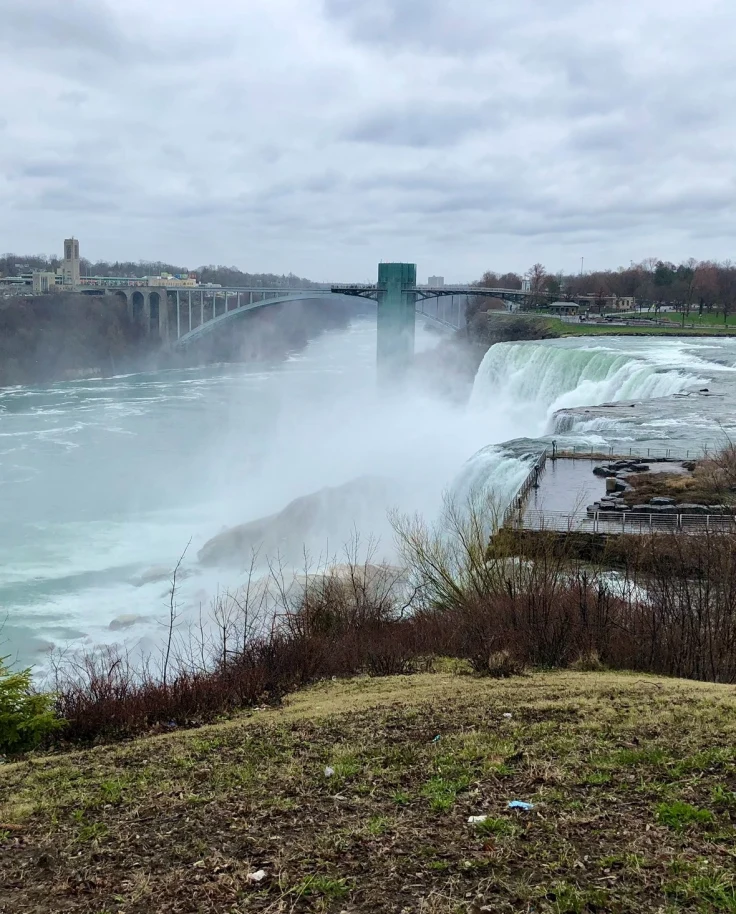 A view of an immense waterfall, Niagara Falls, with wild grass in the forefront of the image.
