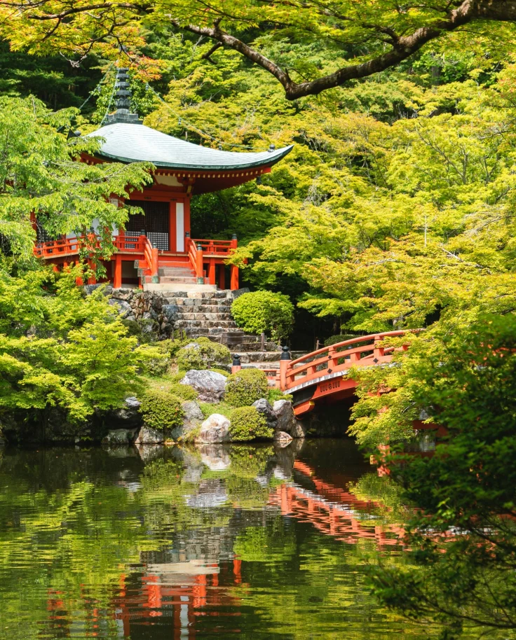 bright green trees and a pristine pond beneath a traditional japanese red pegoda and bridge