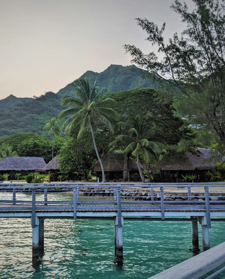 A view of a pier over clear blue water and beachside bungalows in Moorea with palm trees and a mountain in the background at sunset.