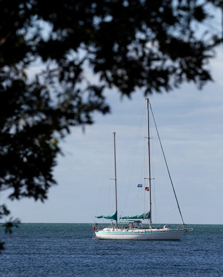 A picture of a white and blue sailboat in the middle of the water.