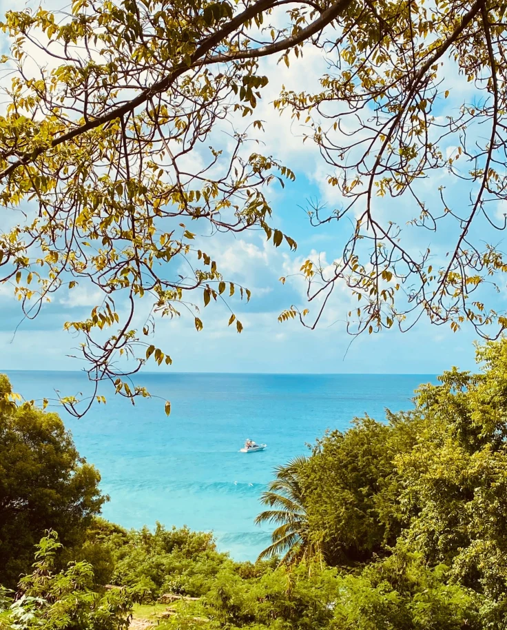 clear blue water off the tropical green coast
