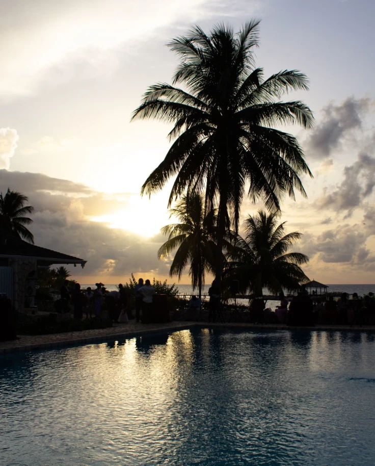 pool and palm trees during sunset on a tropical beach