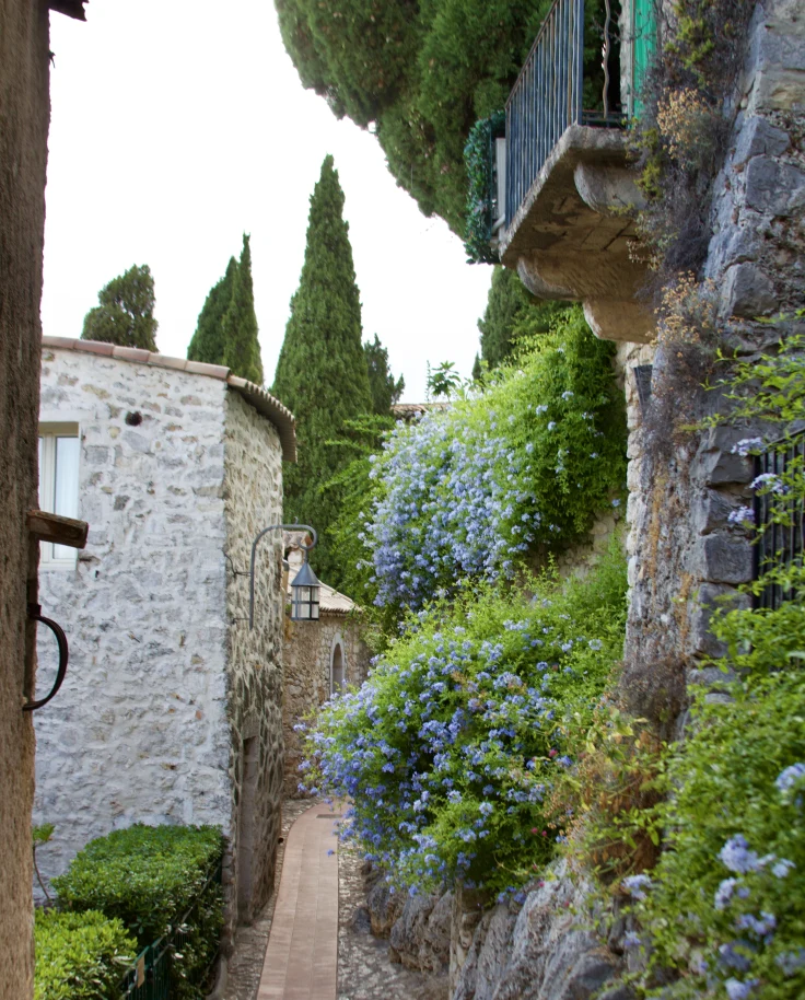 Beautiful French Riveria