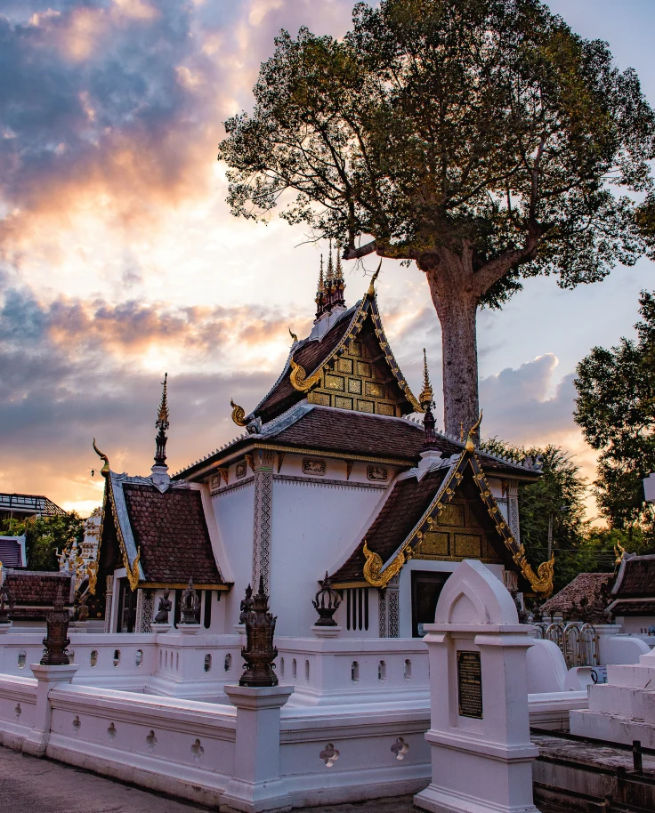 house and tree in Chiang Mai sunset