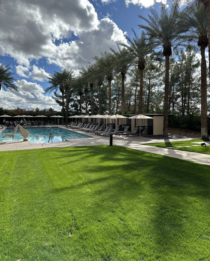 Pool in a garden.