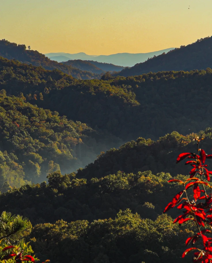 Big view of the mountains in Asheville, NC.