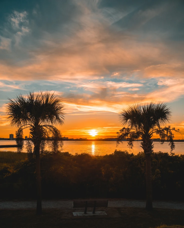 Sunset over water with palm trees