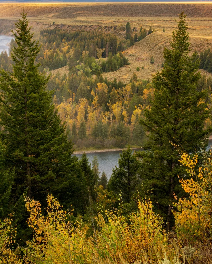 A scenic view of a lake surrounded by trees during the daytime.