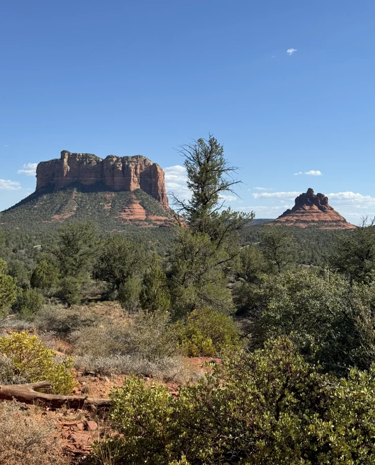 A rock formations in a desert landscape surrounded by shrubs and foliage on a clear day.