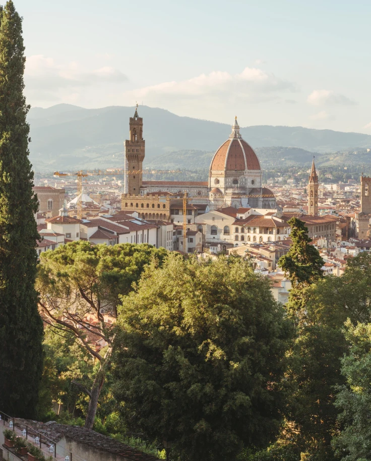 Trees and city with mountains in background during daytime