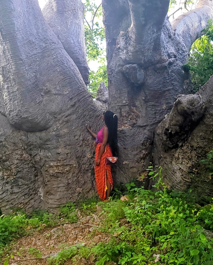 A woman in a red outfit posing in front of a large, old tree while standing near green weeds.